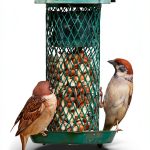 Bird Care Kindle eBook XYZ Publishing 190‑Page Avian Health Guide-0