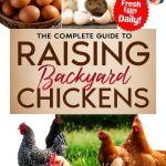 Bird Care Guide: Avian Health and Training Handbook by Amazon-0
